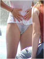 S31.jpg