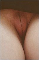 V56.jpg