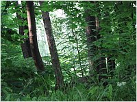 IMG_1880.jpg