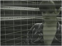 lulu-voyeur-02_1.jpg